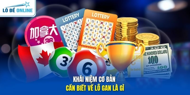 Khái niệm cơ bản cần biết về lô gan là gì